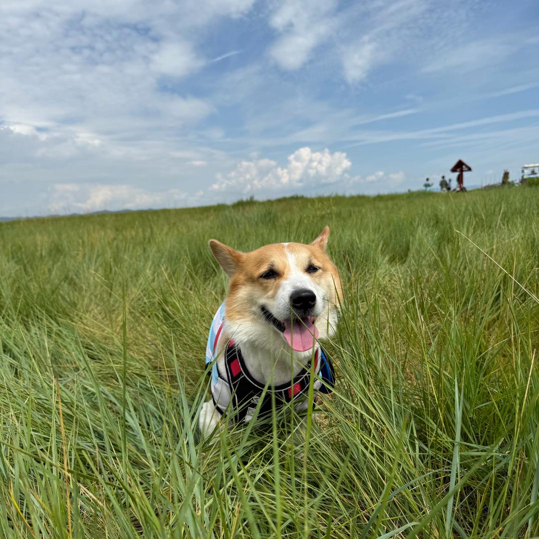 端午家的快乐生活