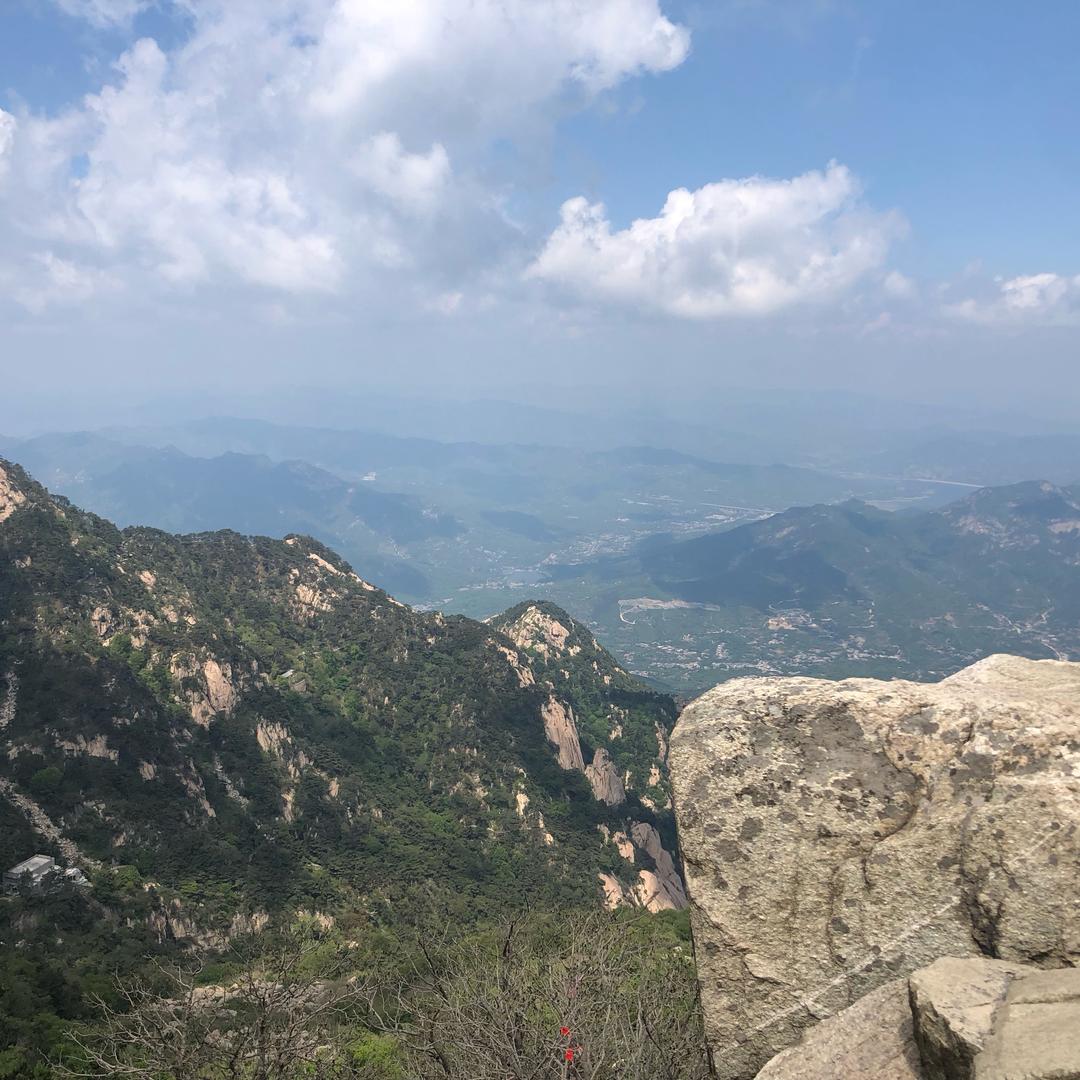 每天分享经典歌曲的小宁