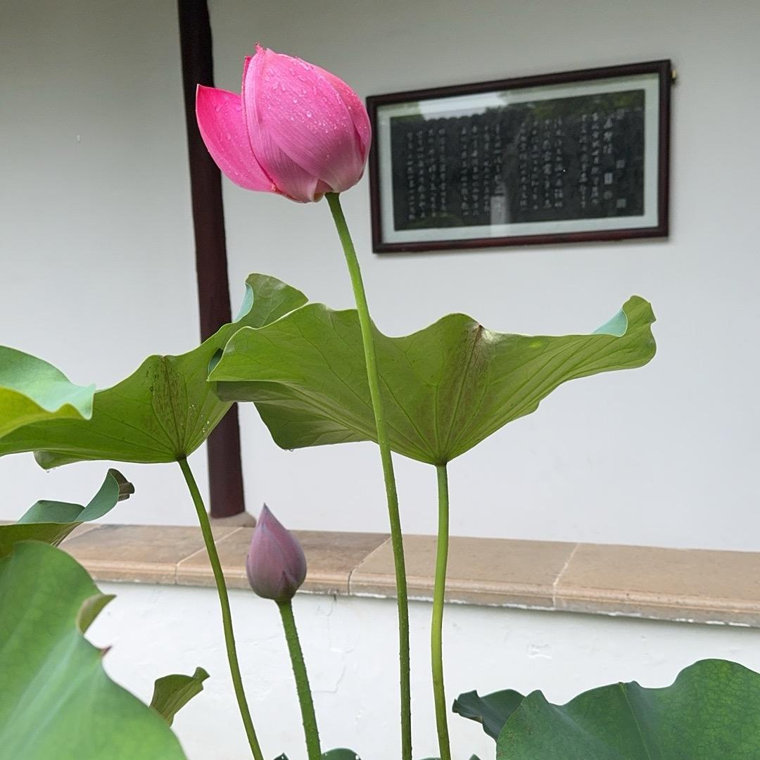开心快乐