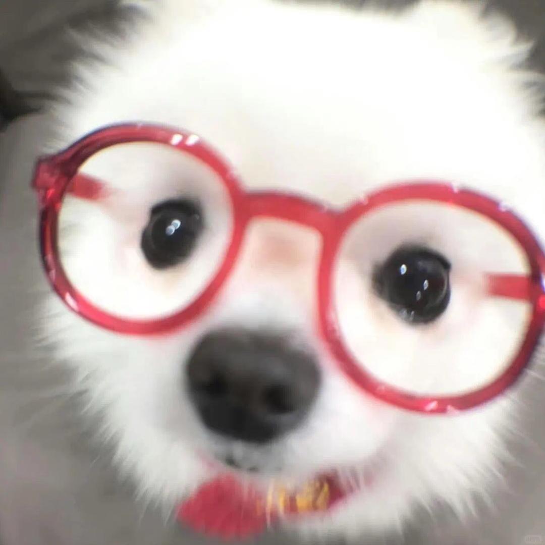 单眼皮