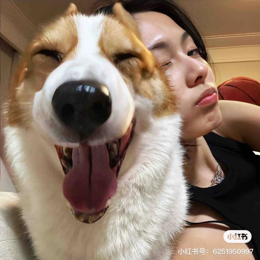 戈凹