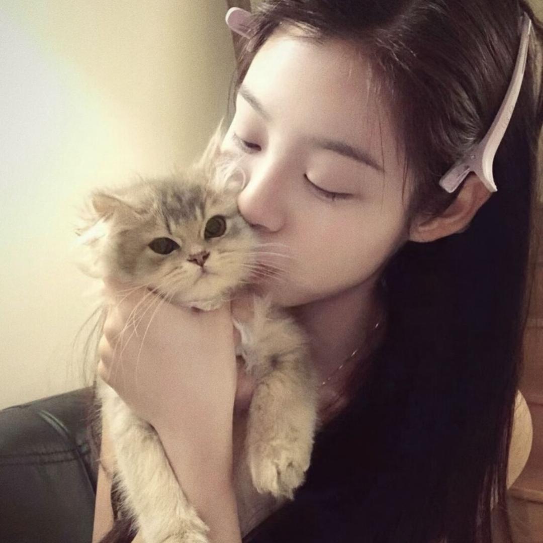 芋头ᙏ̤̫
