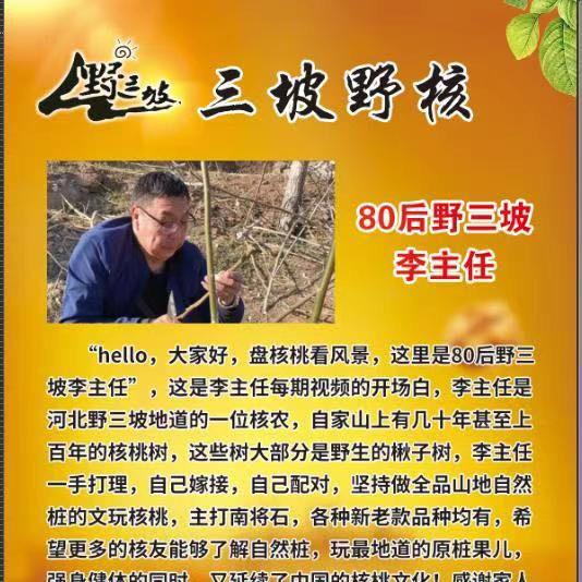野三坡李主任