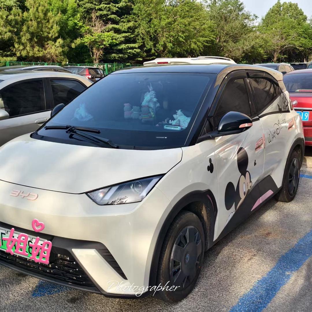 钱钱家的比亚迪欧子