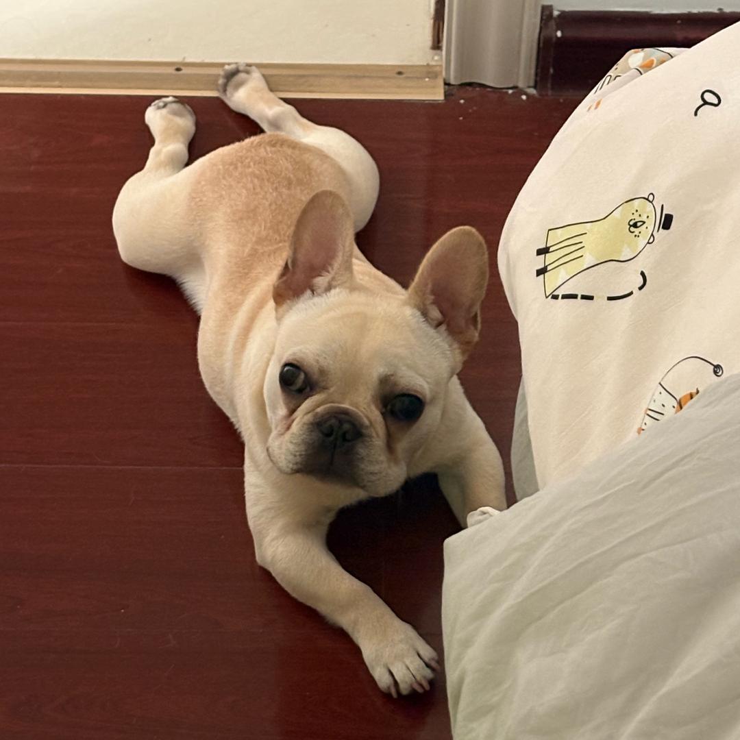 我是牛魔王