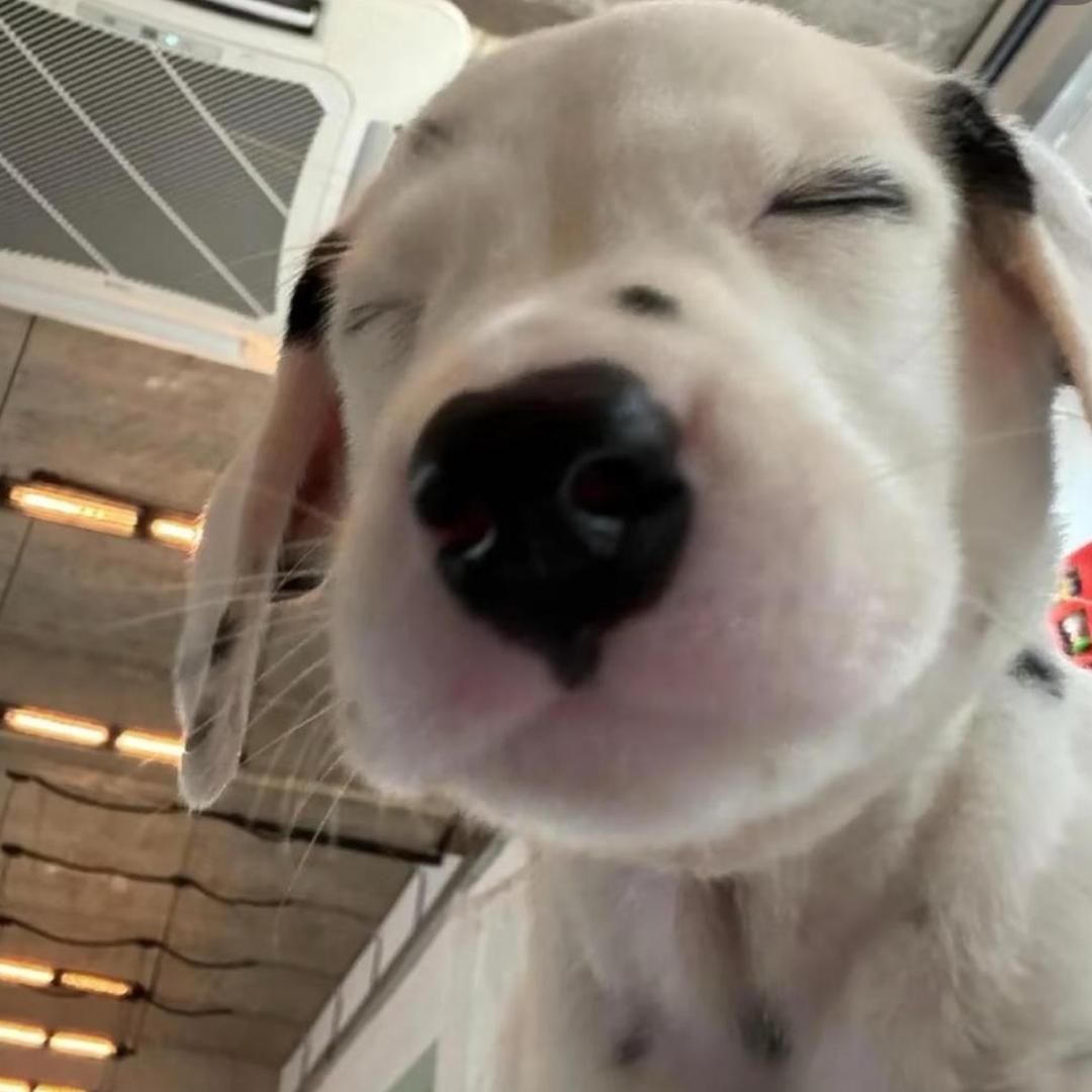 爱