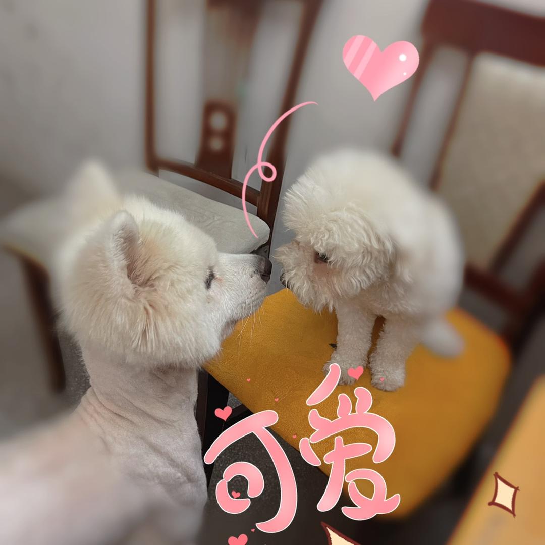 劈劈麻🦄✨