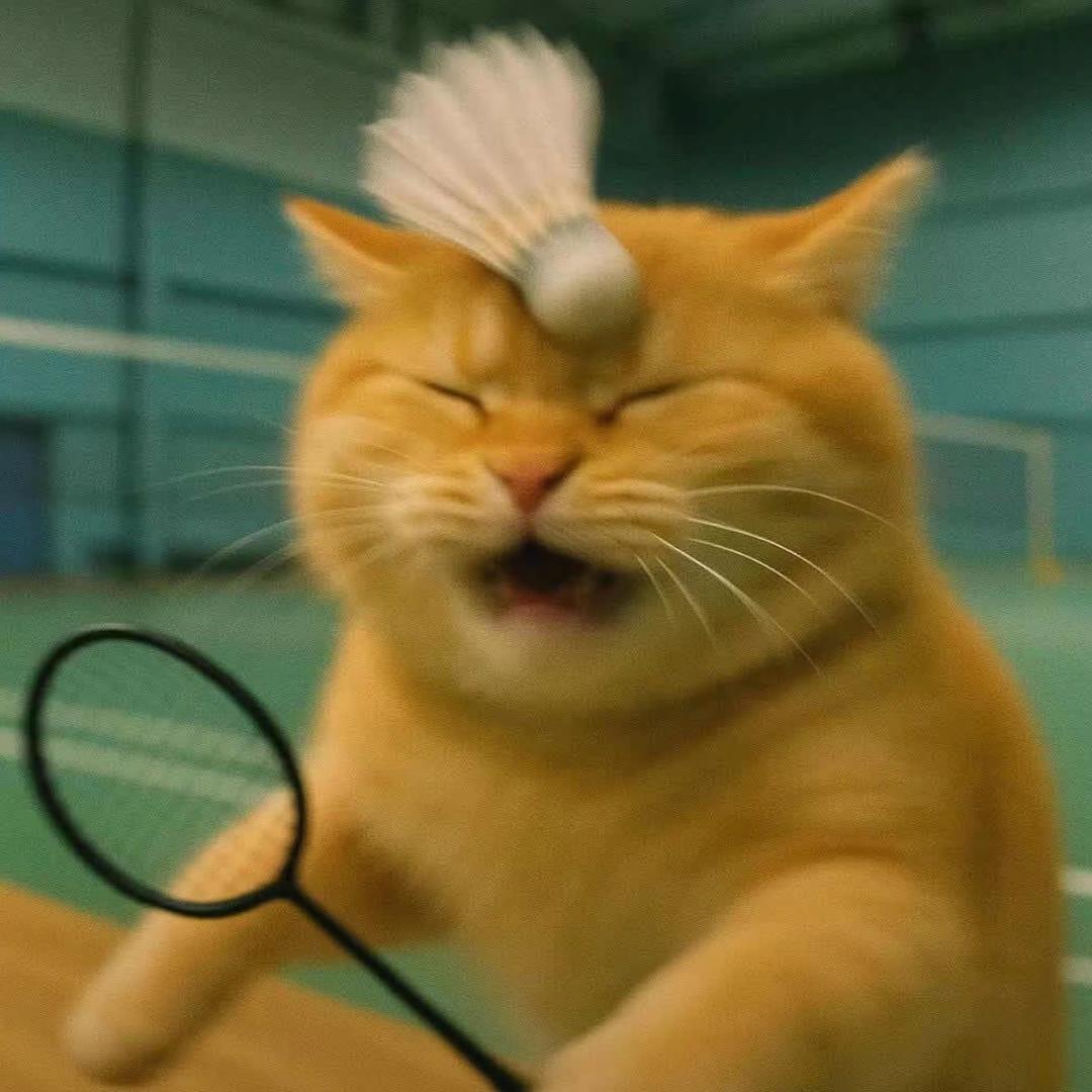 南风、北巷