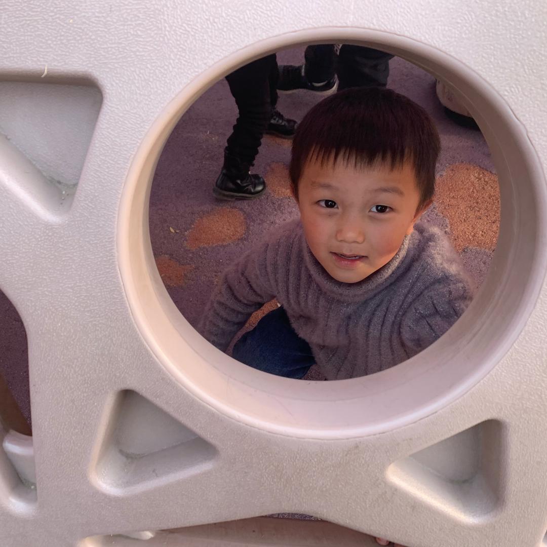 本有的资本