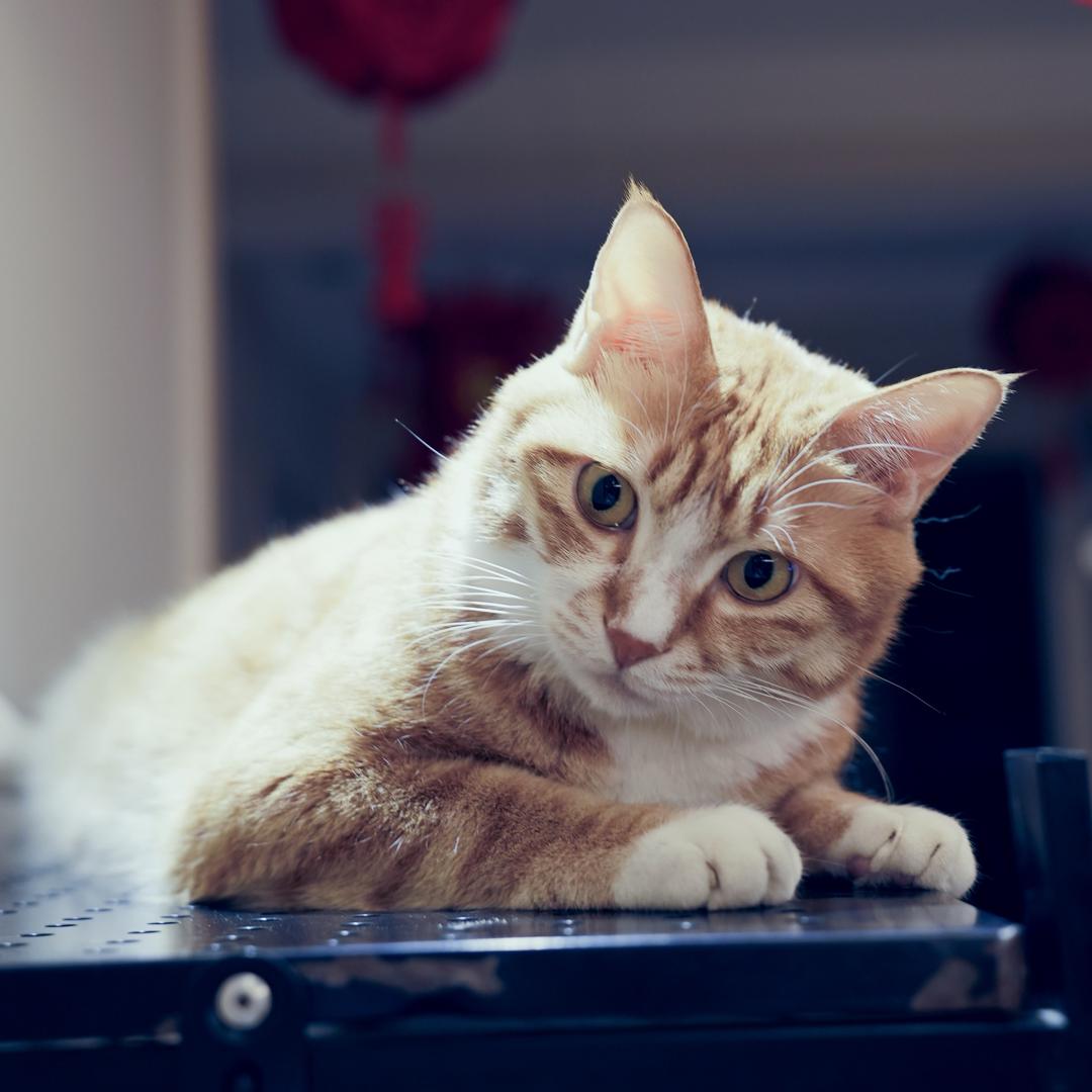 晨光·视觉映像