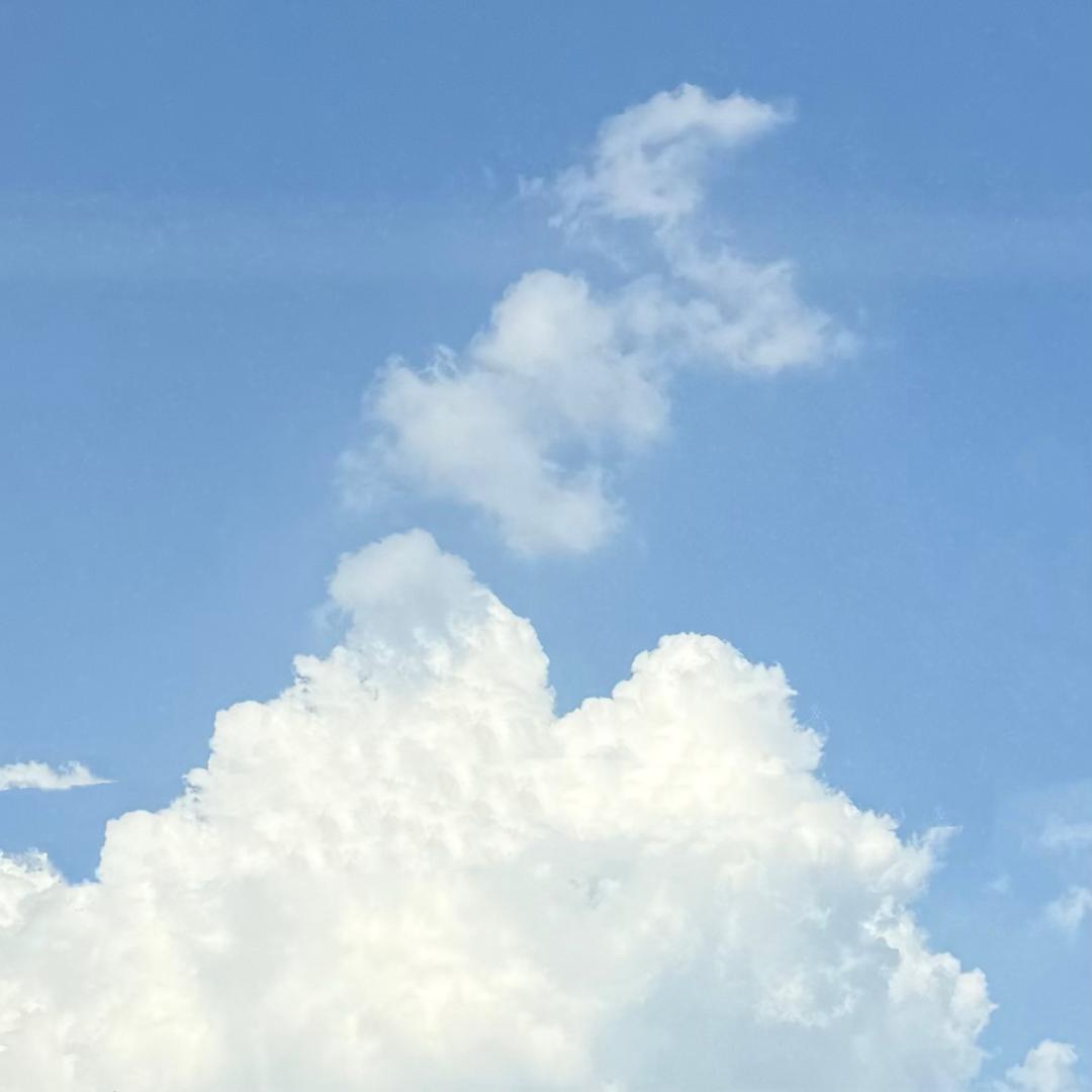 ꪶꫀꪮ𓃠