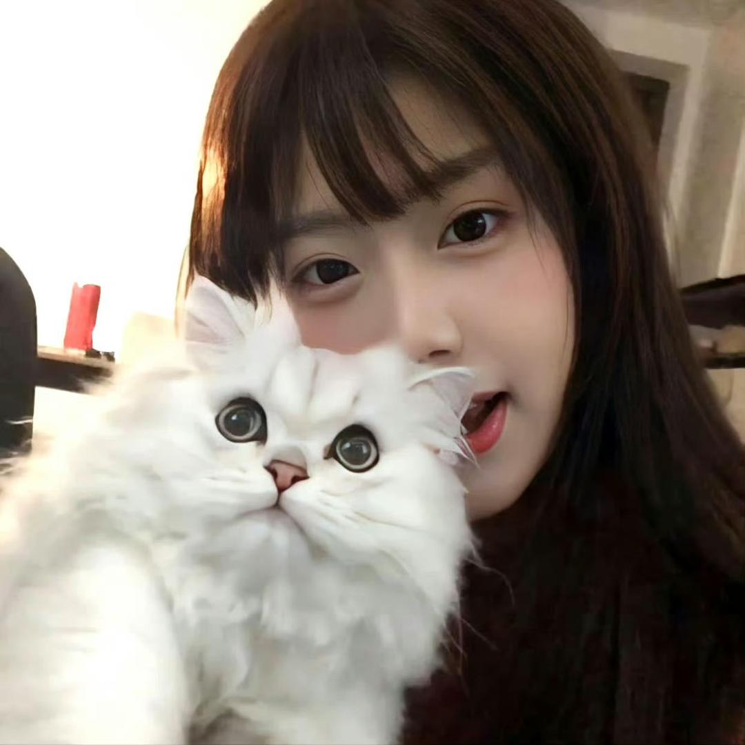 曲奇