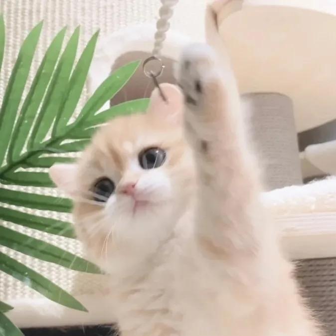 灵魂