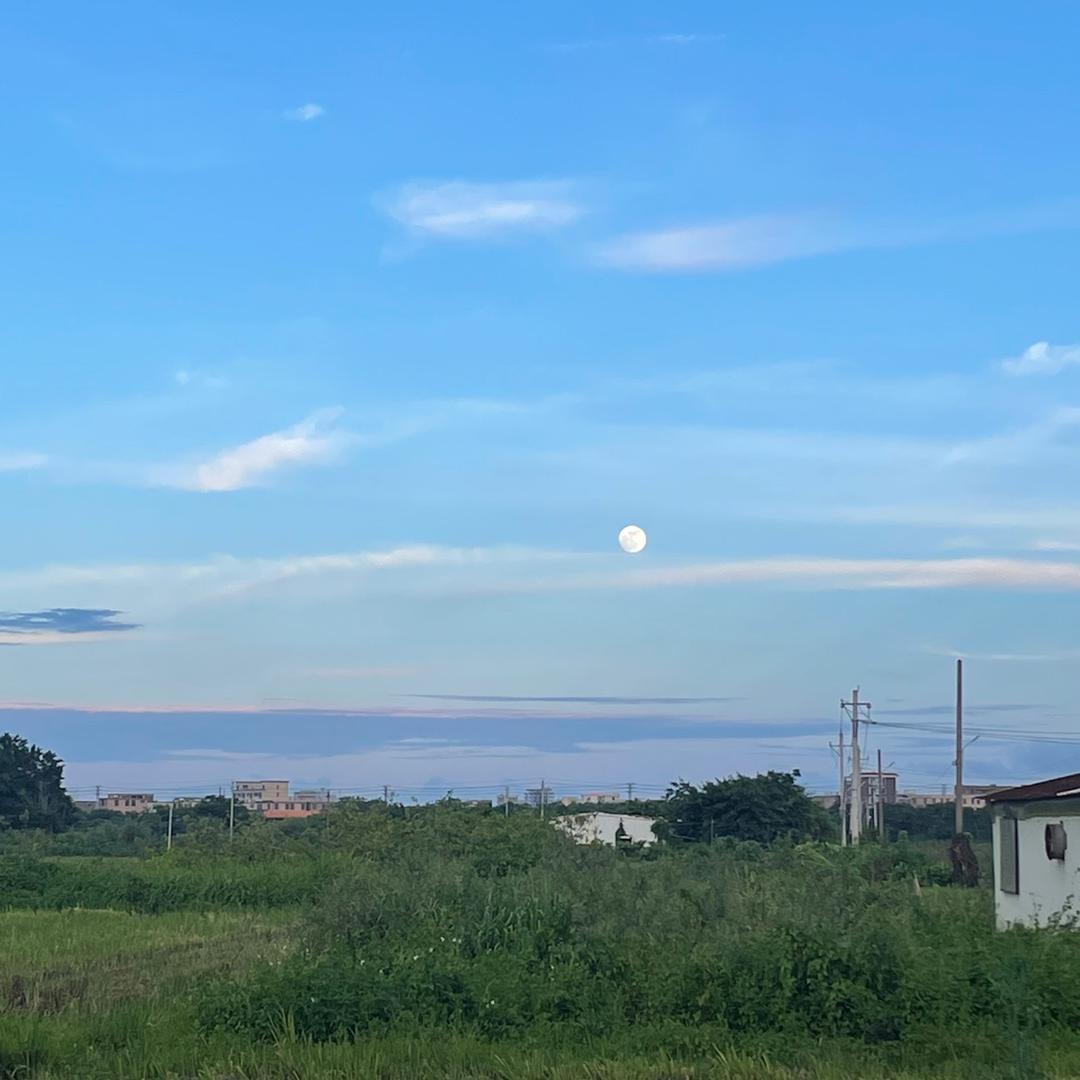 杨哈哈