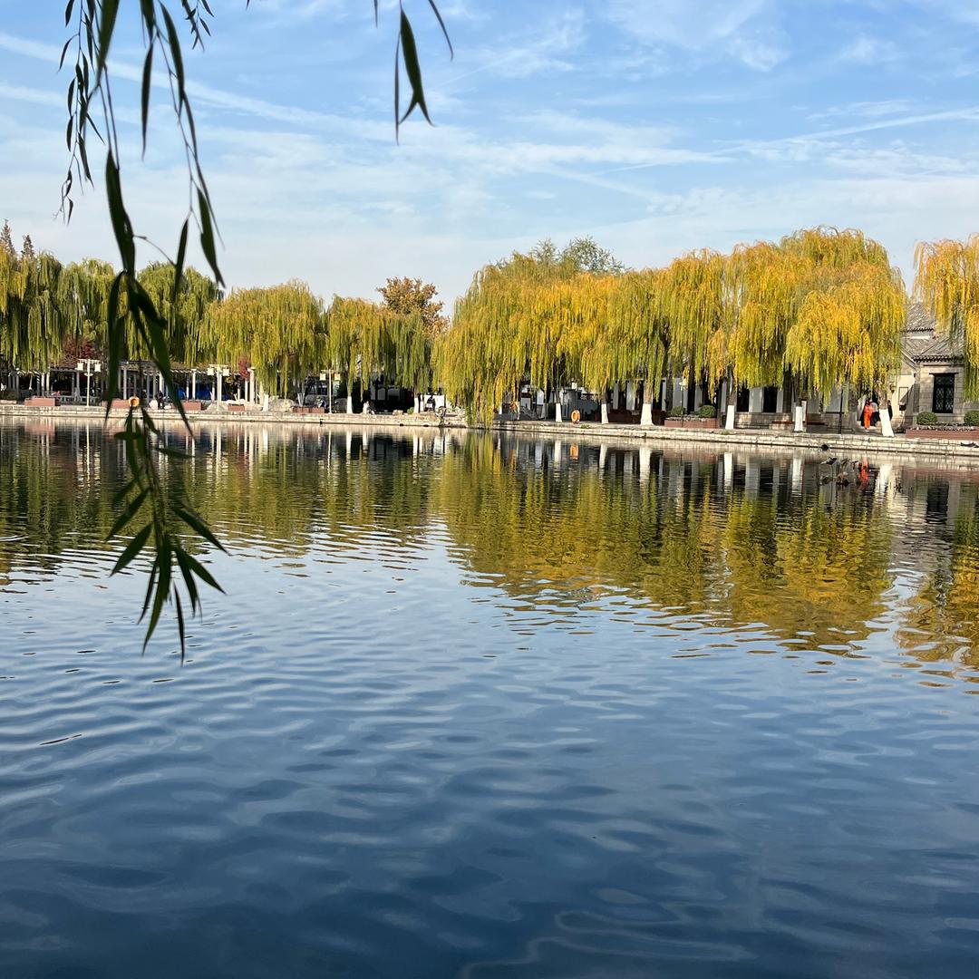 雷巍浩商贸有限公司-阿皓