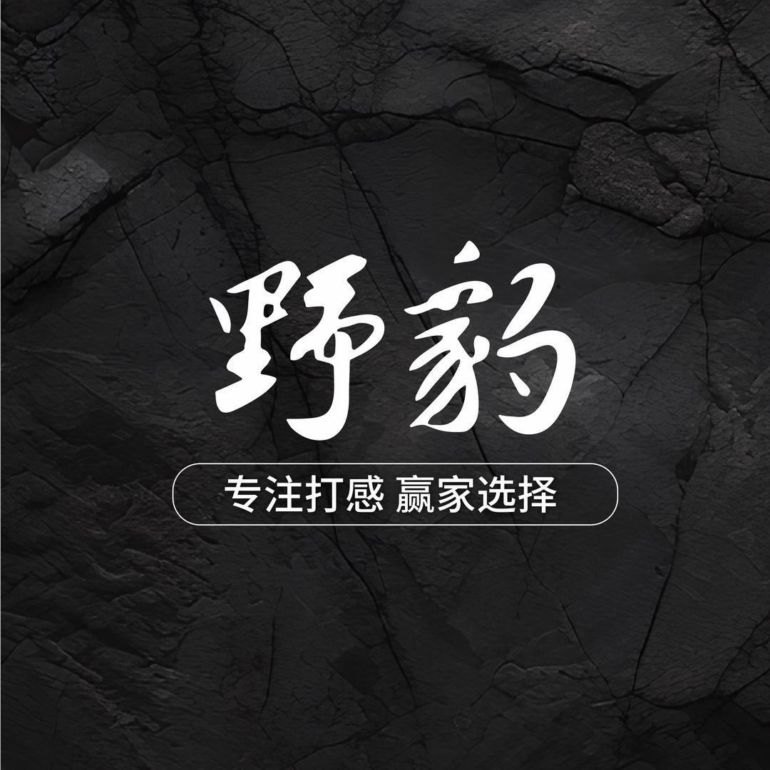 野豹球杆专场（郑州店）