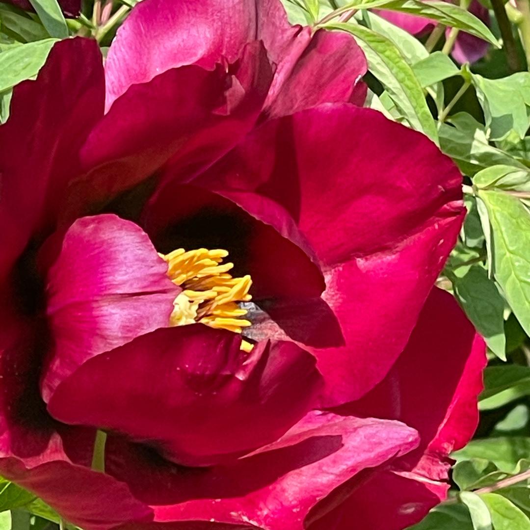 user3498719679911风轻云