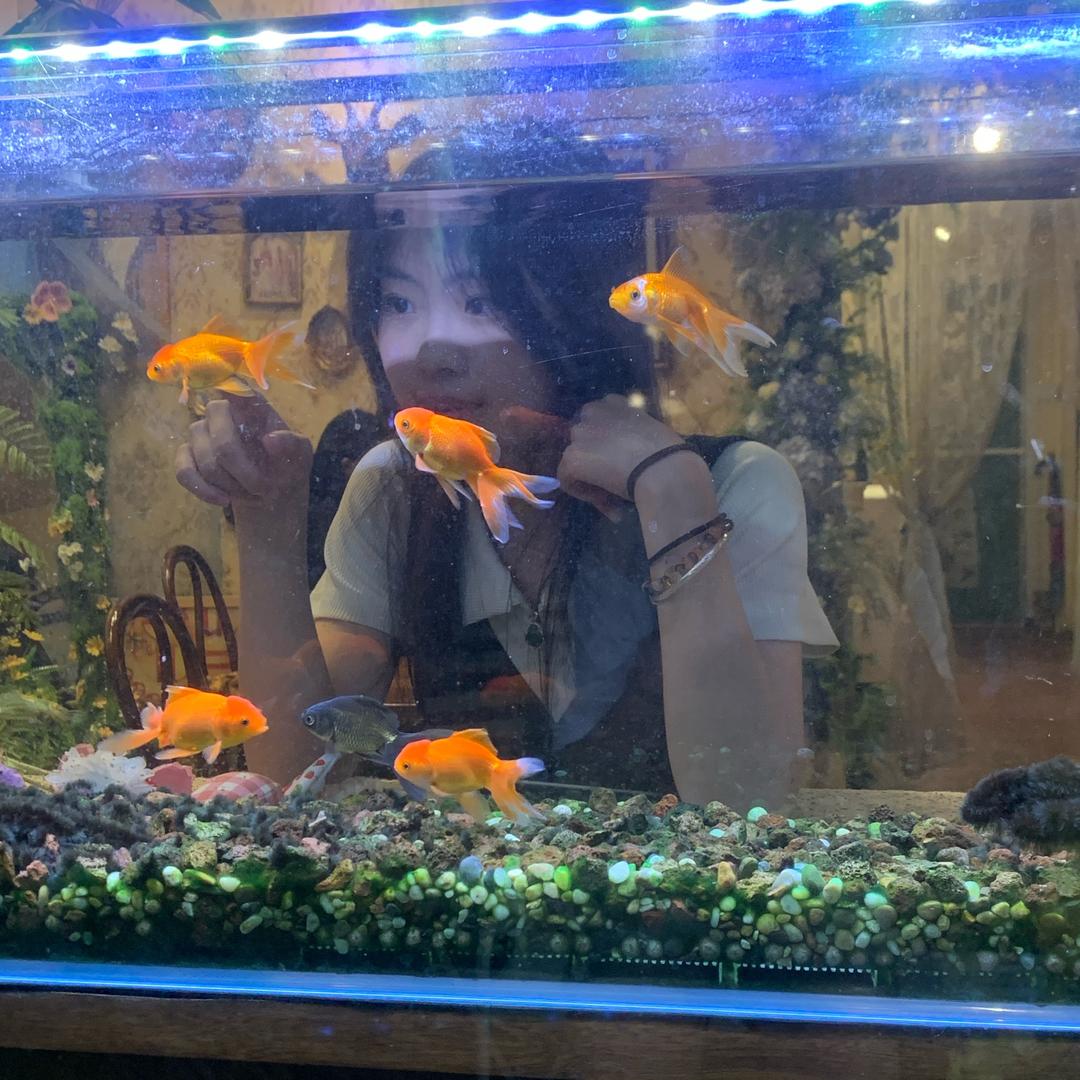 神经彬-