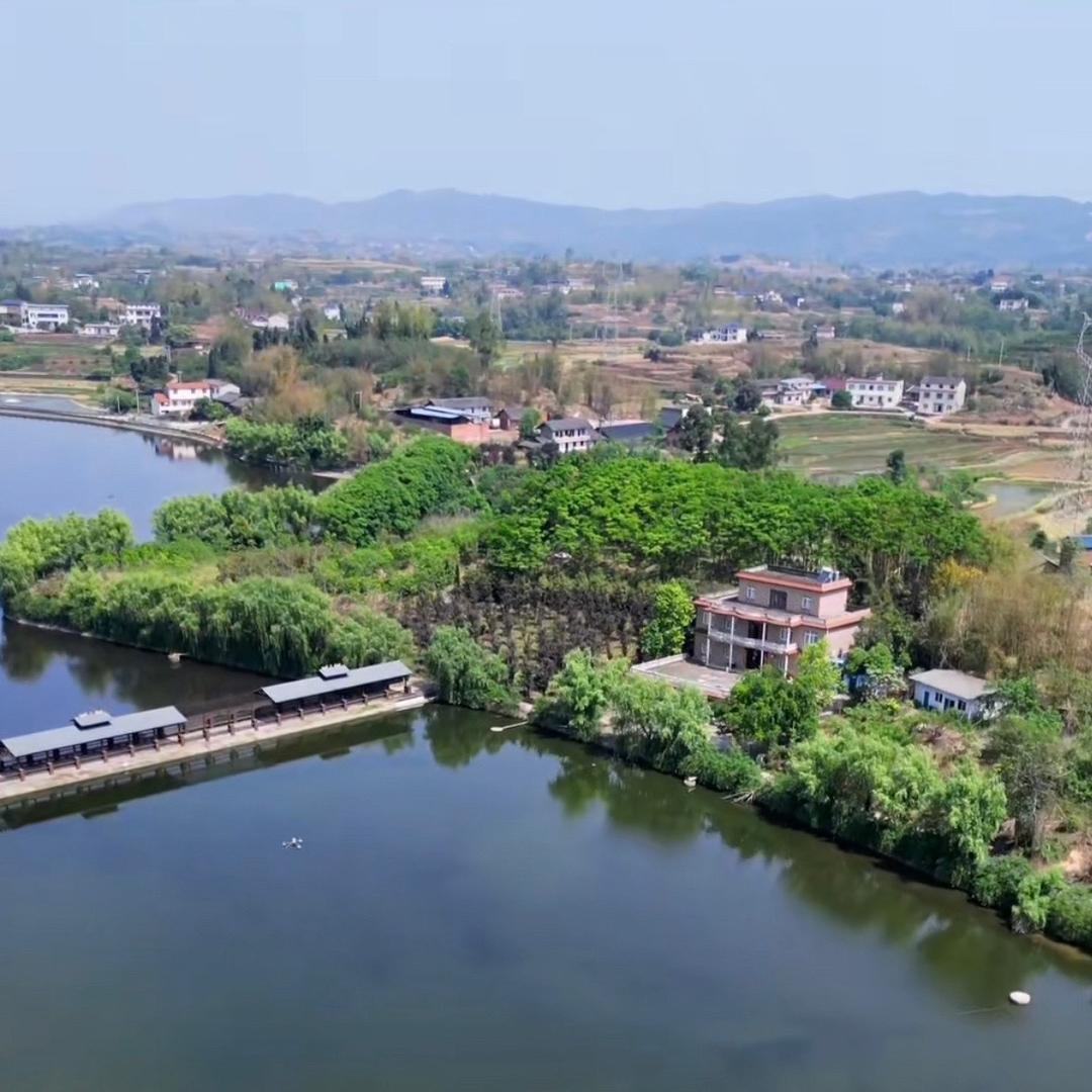 大同小异