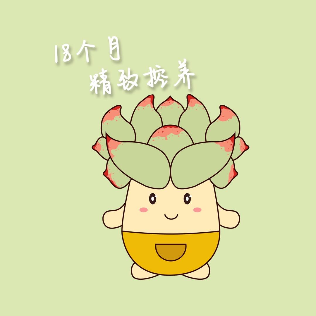 瑞宸超级多肉农场