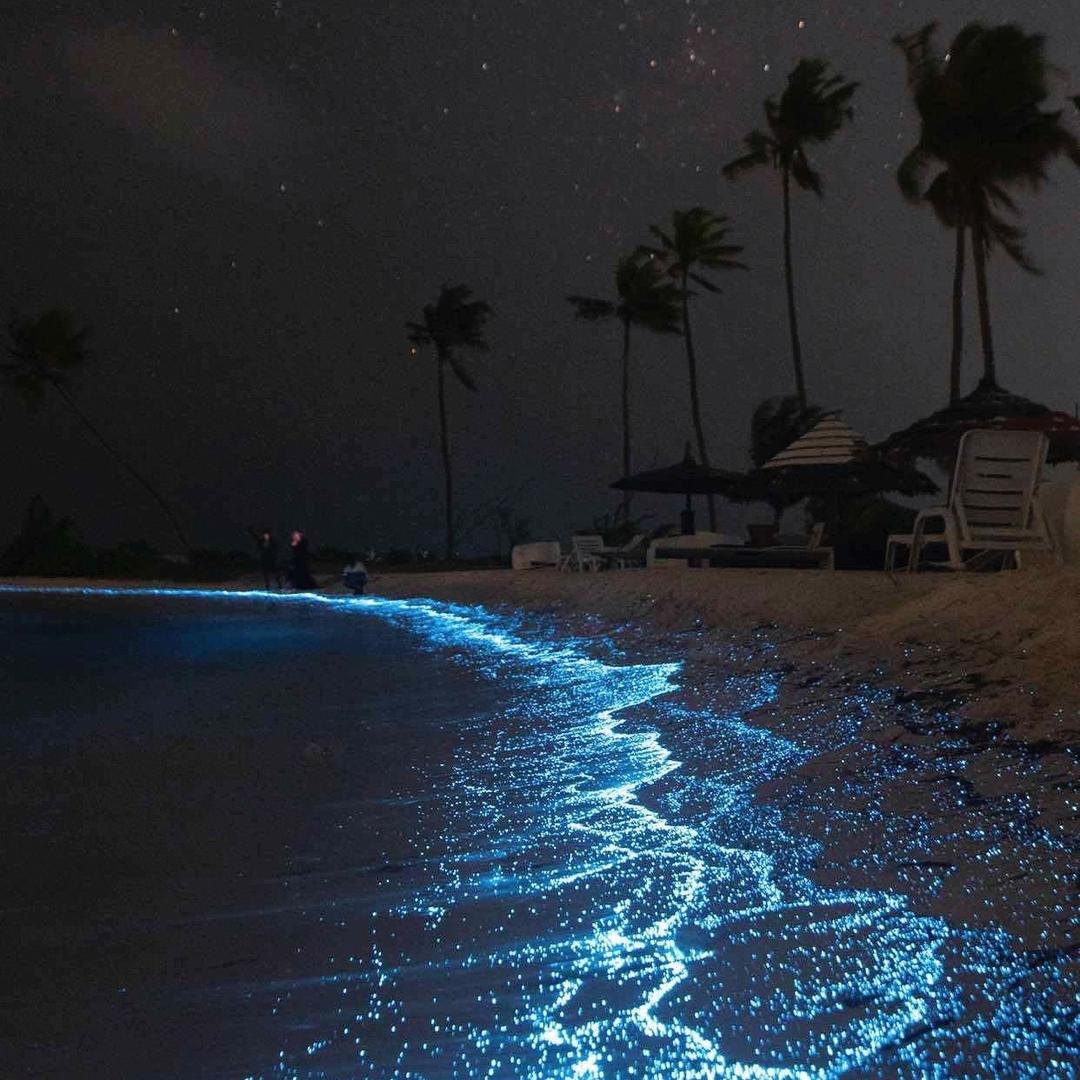 Sc╰（‵□′）