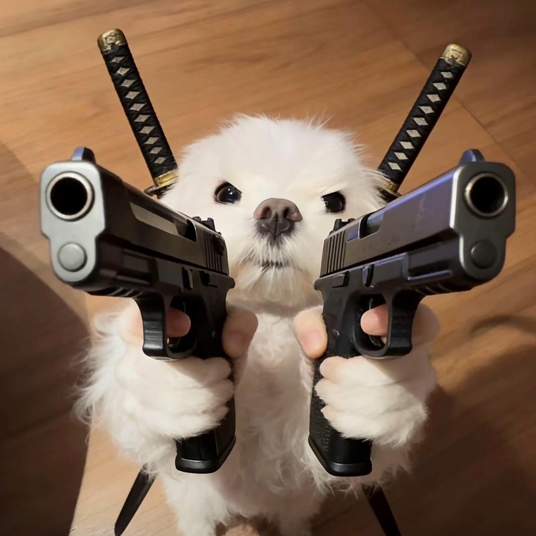 小白不吃大白吃💫