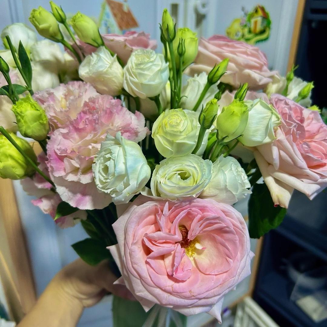 A菲菲