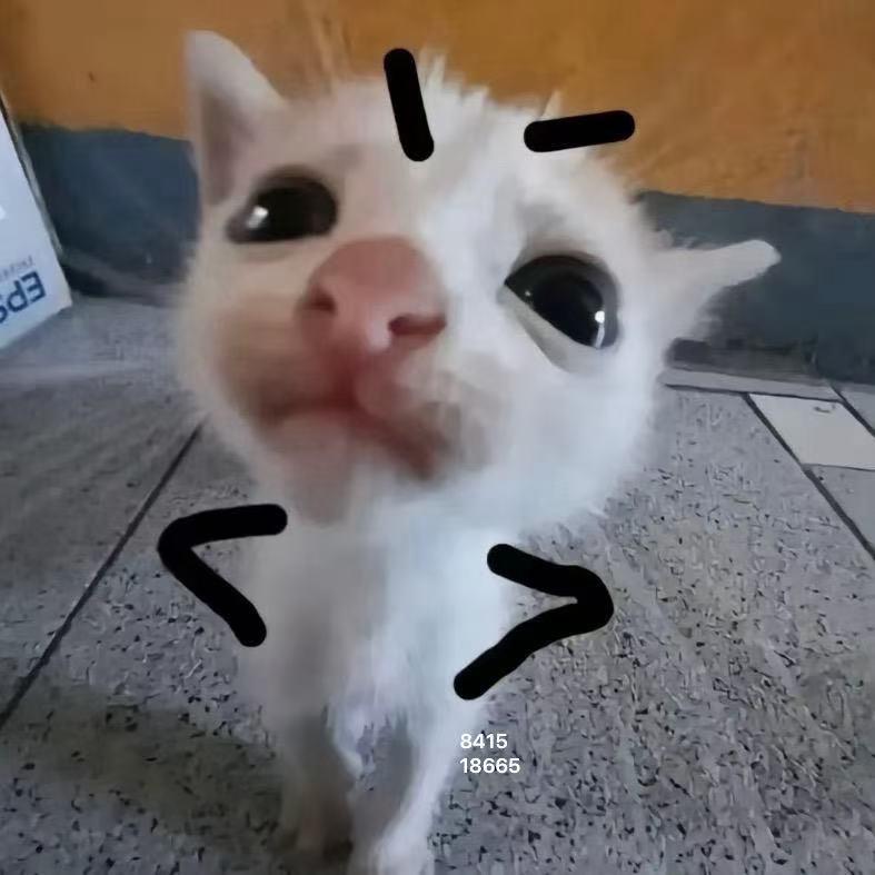 苏茵茵