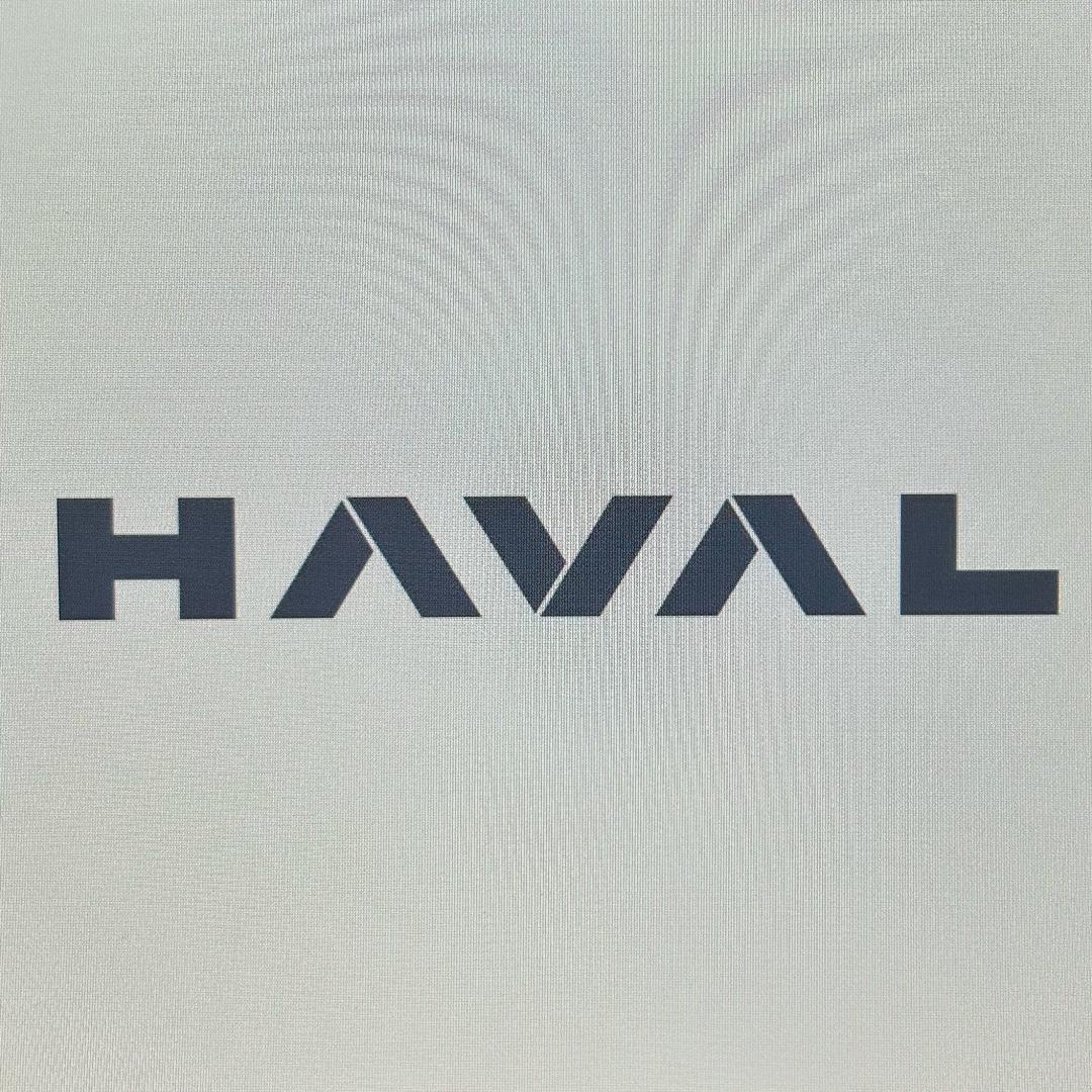 重庆哈弗工厂店-永川