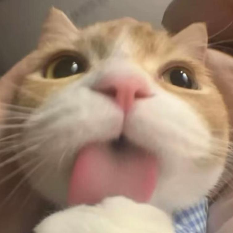 🐟欣