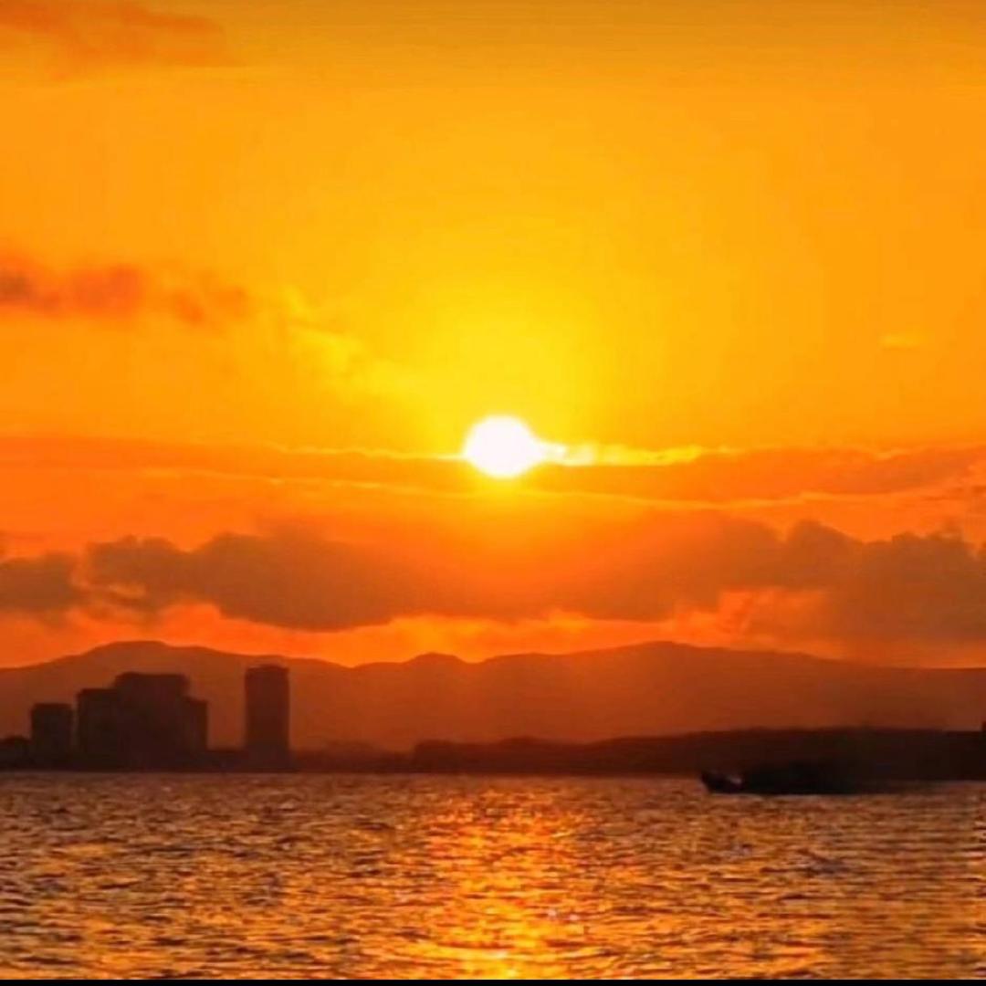 顺其自然🍎🍎🪸