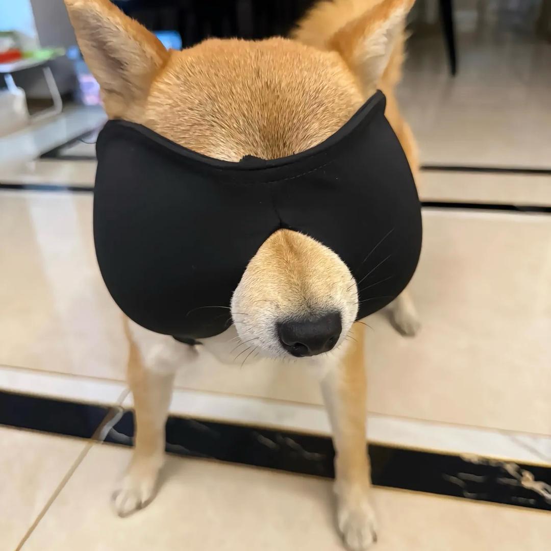 薛你大爷