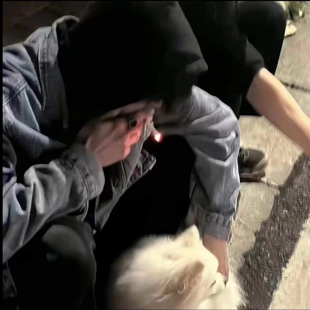 下次一定早点去睡觉💤