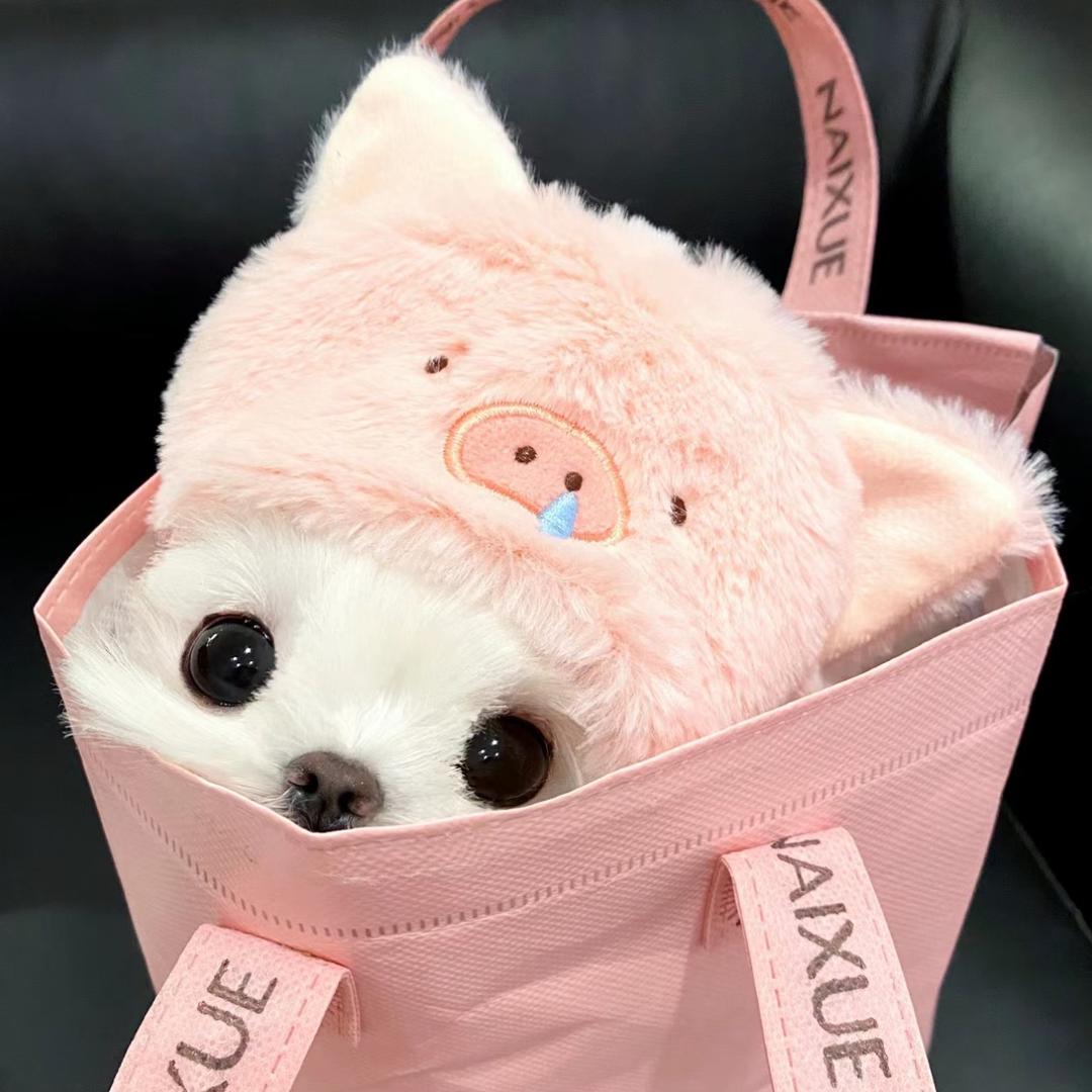 一亿