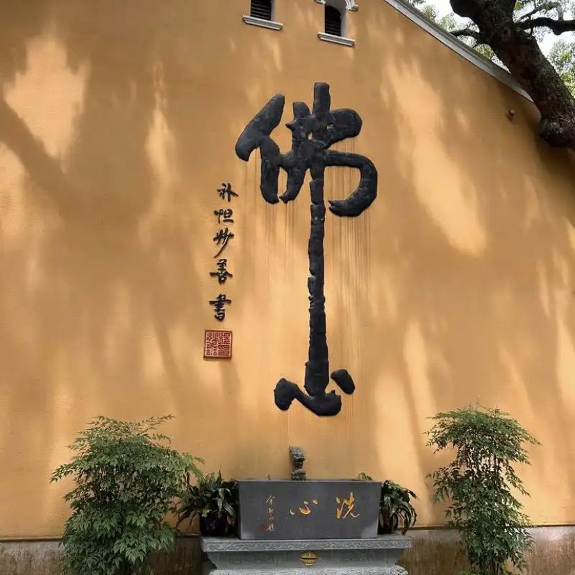 缘起普陀～新跃