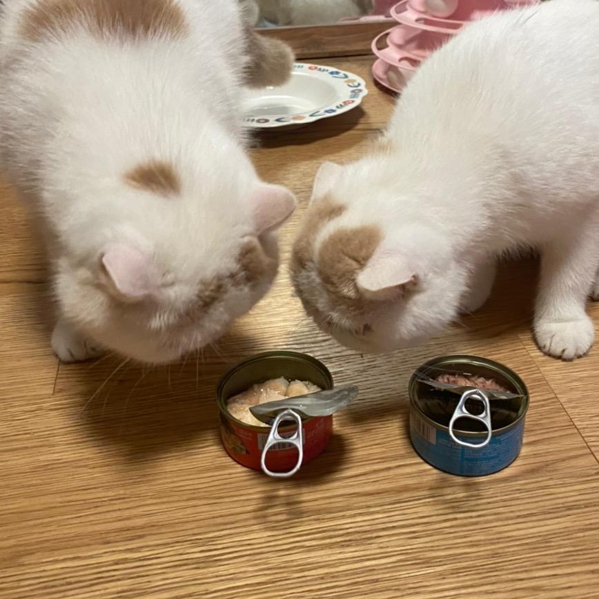 枣枣糖豆的花样年华