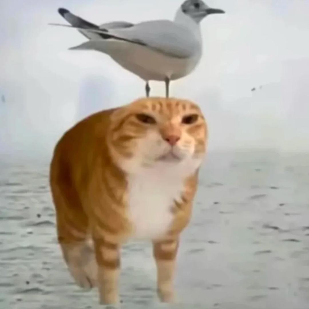 7538