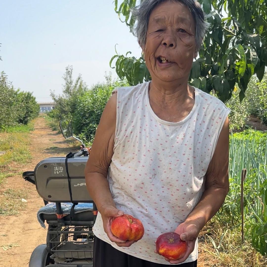 张奶奶是种桃的