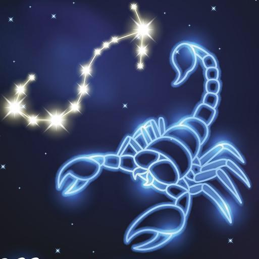 微笑天蝎🦂