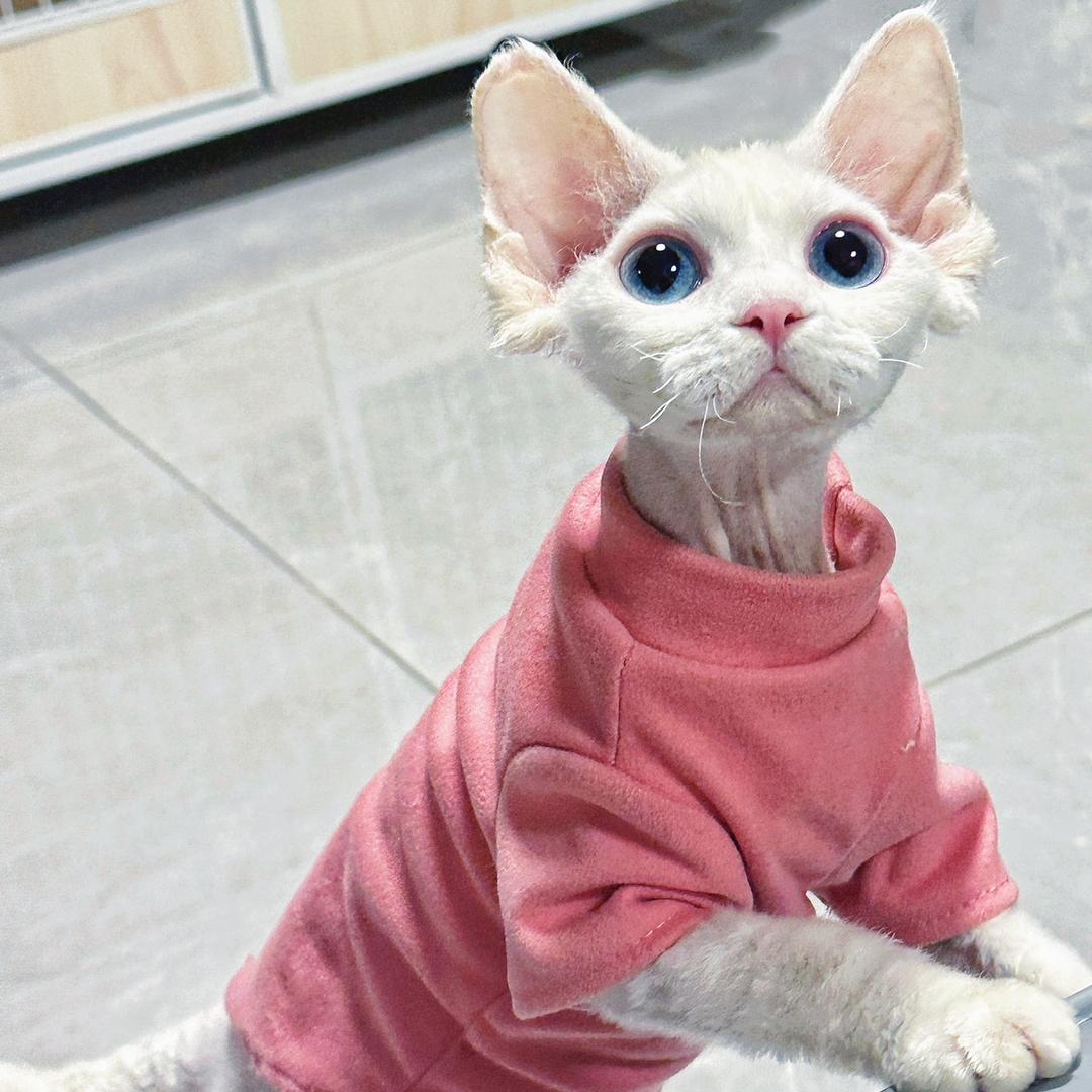 一生要强的繁育人