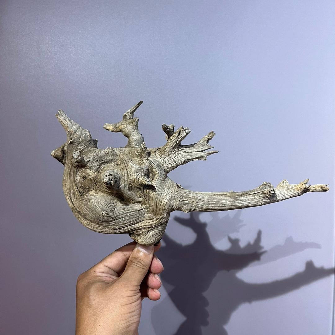 柏味人生