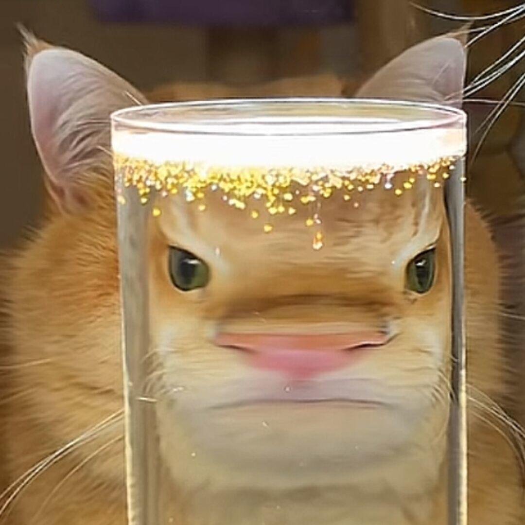 炒鸡老丁