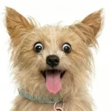 Dear（台球）匕首