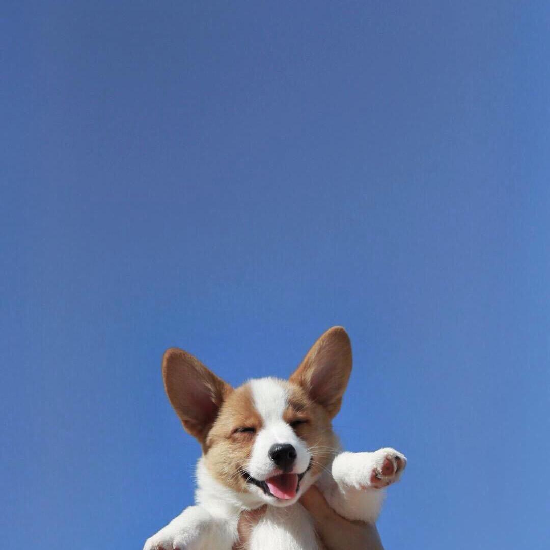 ！