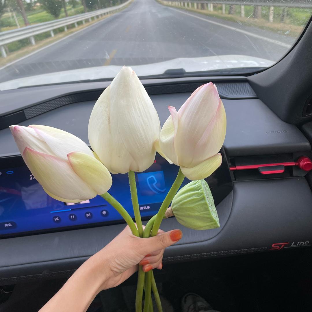 确山化妆师李蕊👀
