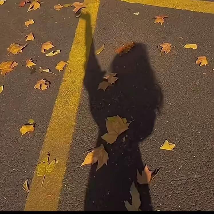 宴宴吖 🌻