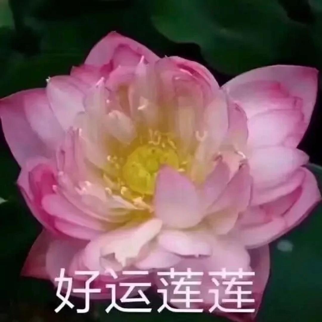 知足常乐_