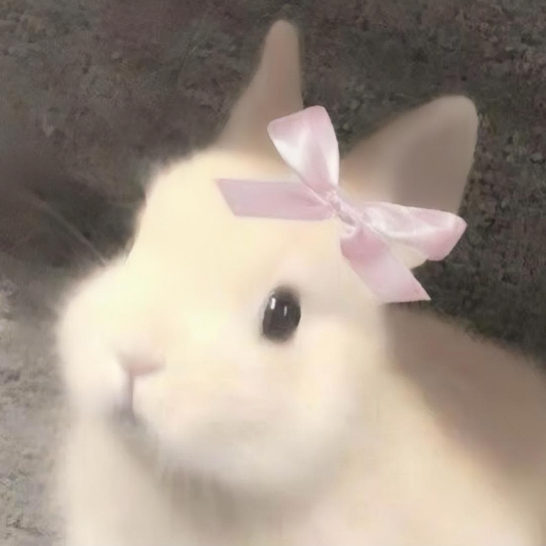 阿 卿 ·
