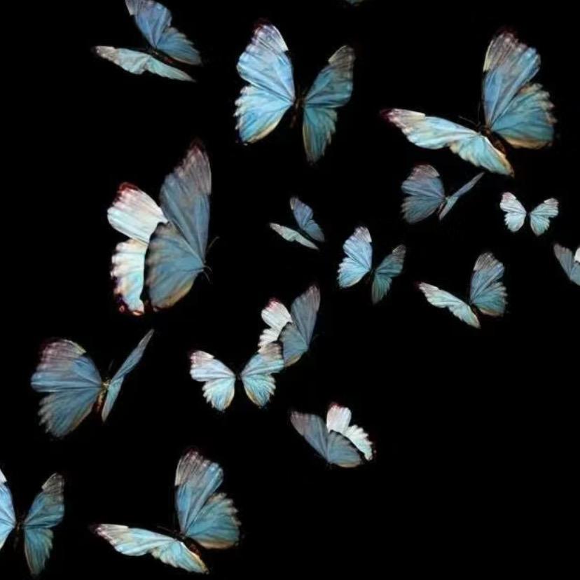 𝙔𝙝. 𝙓𝙓𝙞𝙠-