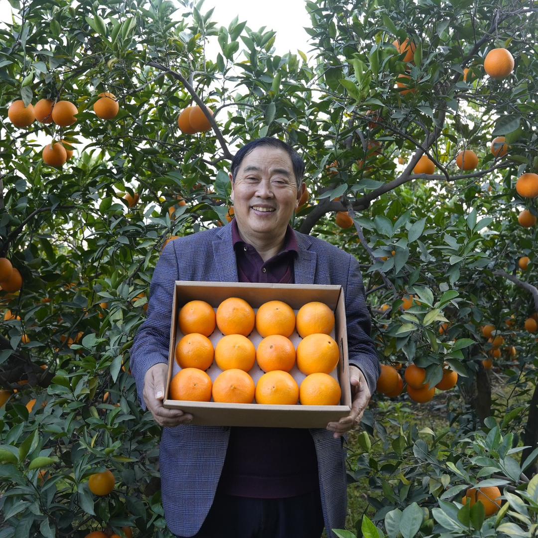 雷波脐橙书记🍊唐朝顺